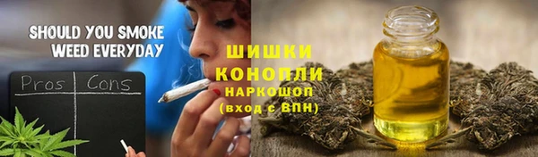 apvp Лиски