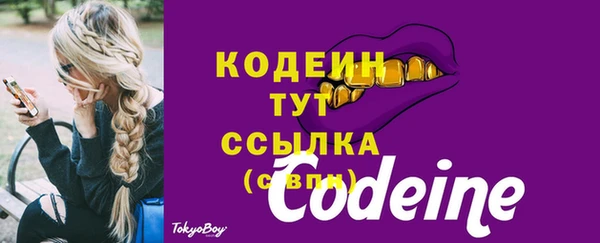 apvp Болотное