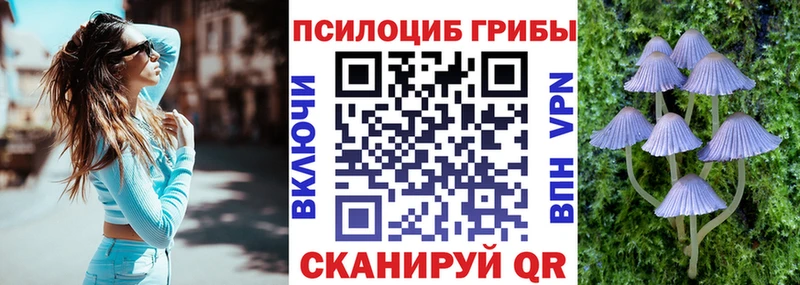 Псилоцибиновые грибы Psilocybine cubensis  сайты даркнета какой сайт  Калязин 